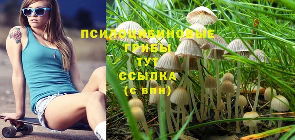PSILOCYBIN Нязепетровск
