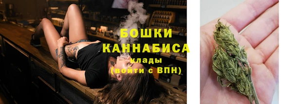 ПСИЛОЦИБИНОВЫЕ ГРИБЫ Нефтегорск
