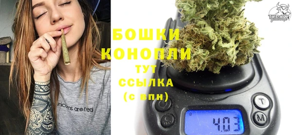 PSILOCYBIN Нязепетровск