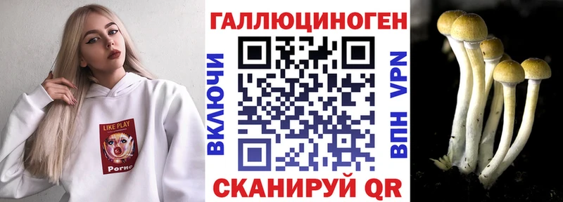 закладки Нытва Псилоцибиновые грибы Cubensis