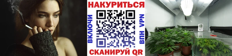 Каннабис VHQ  Нытва 